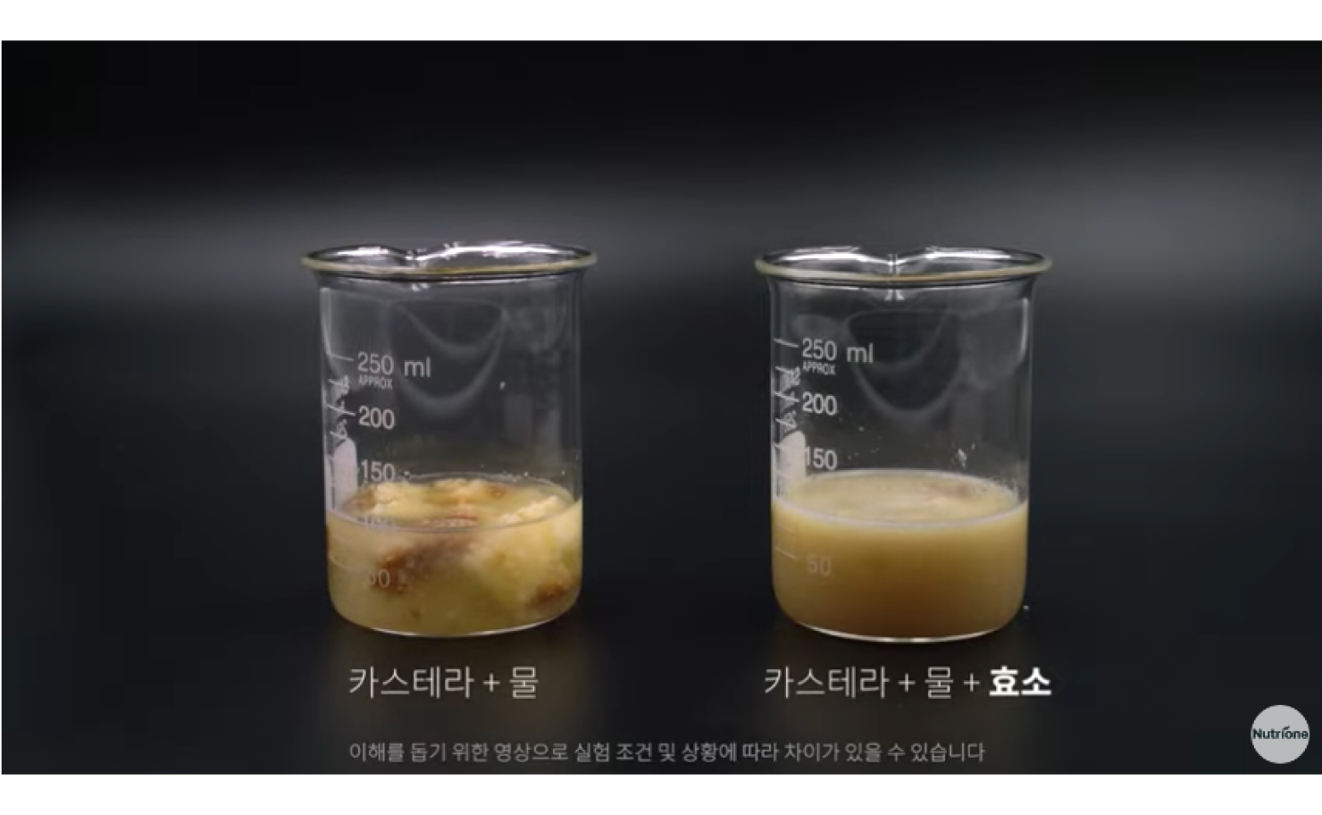 효소 효능