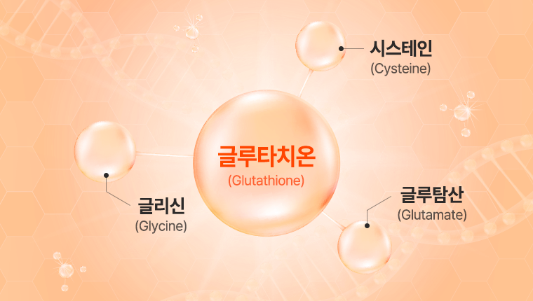 글루타치온 함유 시스테인, 글루탐산 글리신