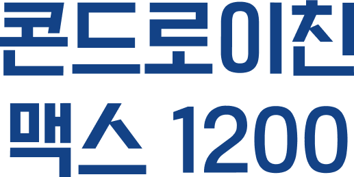 콘드로이친 맥스 1200